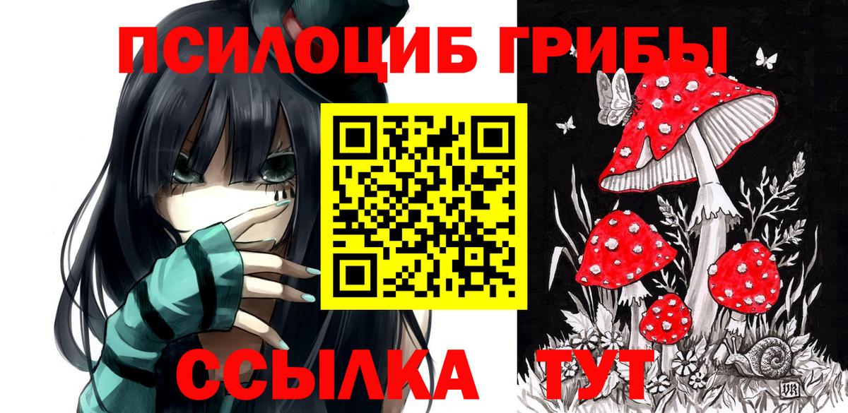 Псилоцибиновые грибы MAGIC MUSHROOMS  Вход с VPN  где продают   Владимир 