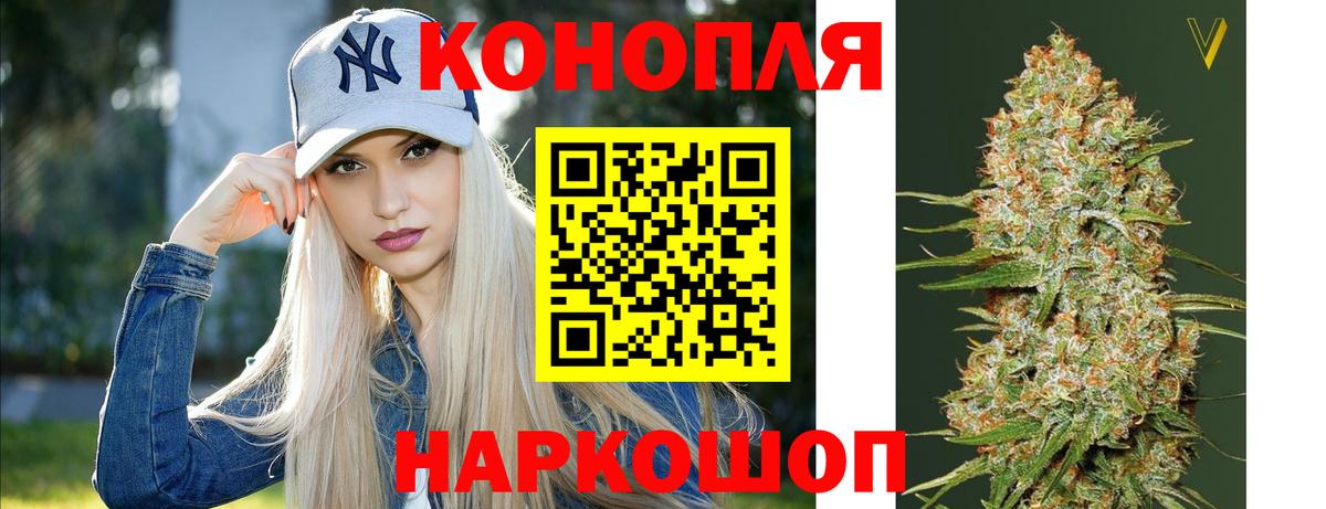 Каннабис Владимир